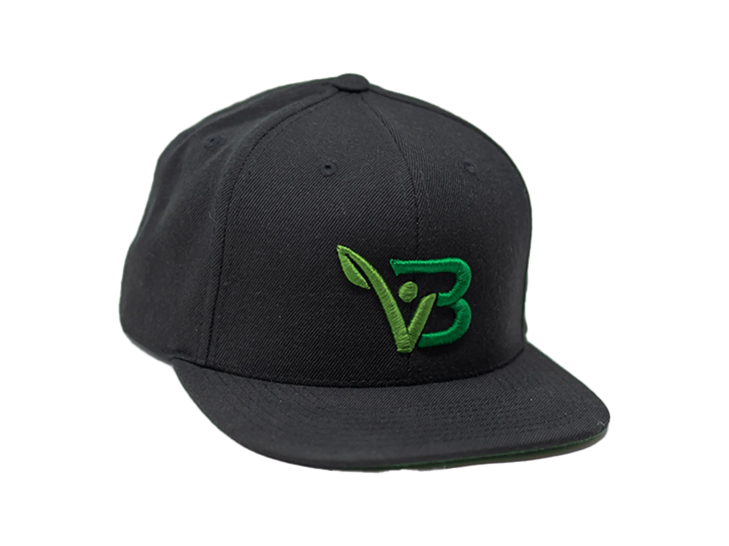 Boldvita Snapback Hat
