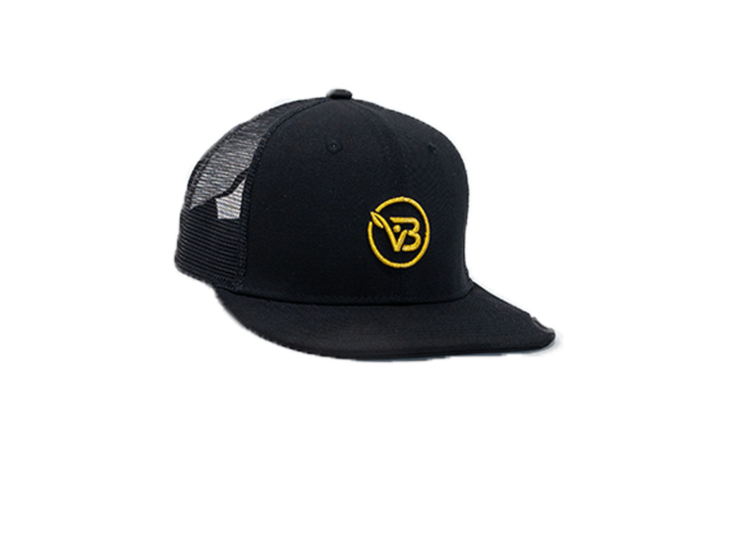 Boldvita Snapback Hat