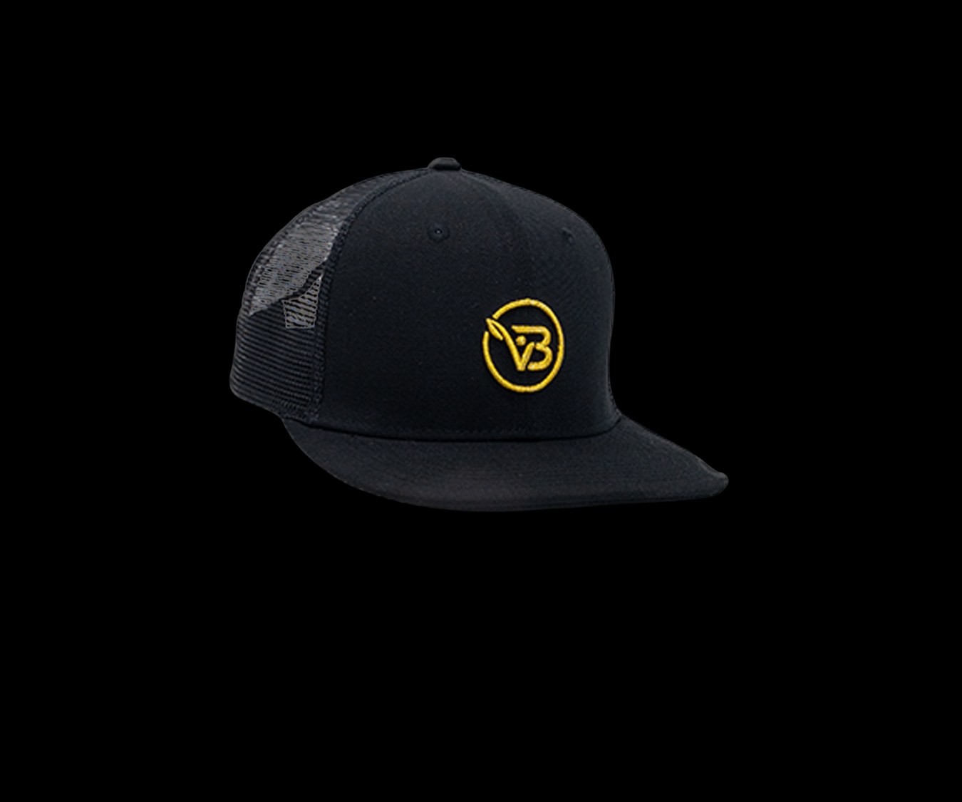 Boldvita Snapback Hat