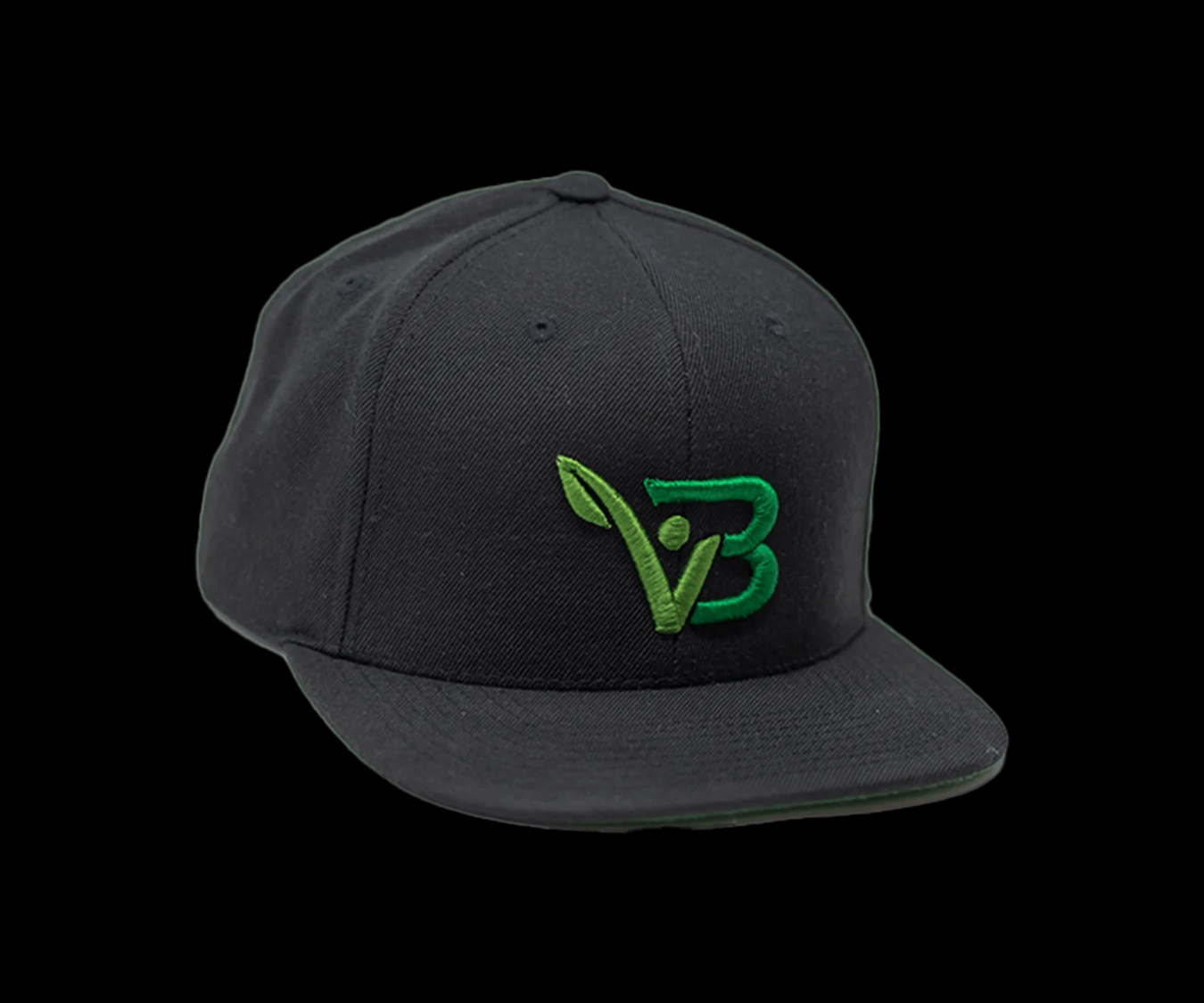 Boldvita Snapback Hat